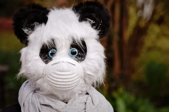 SlotsWin Kazino Atbalsts